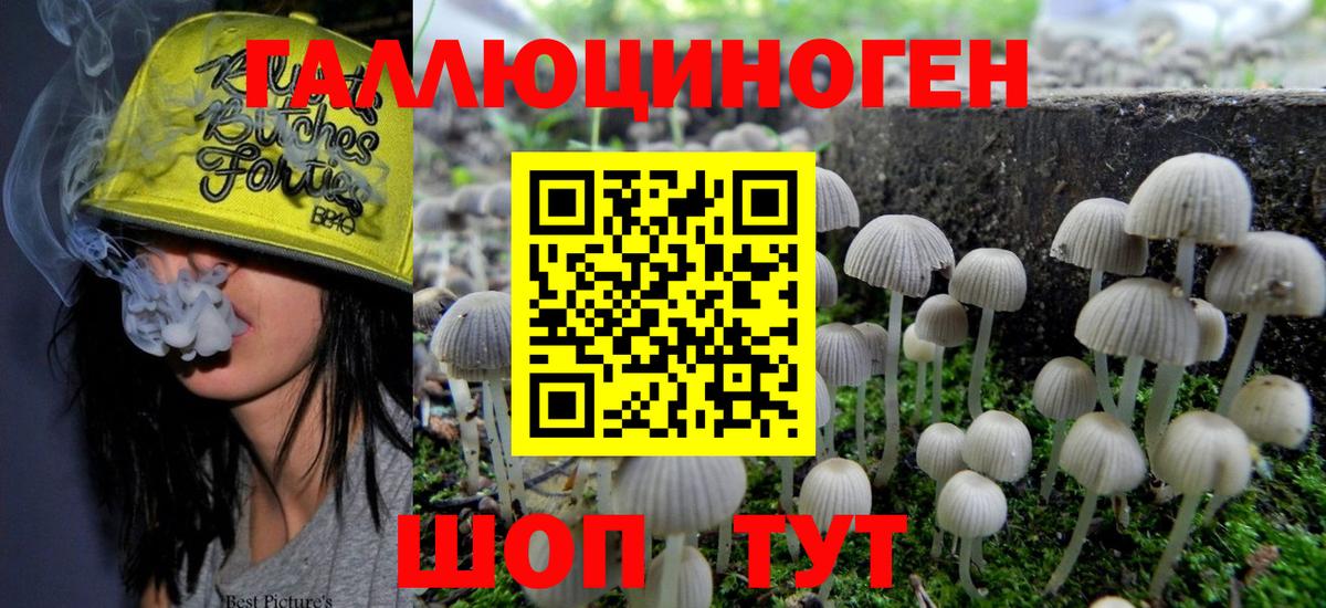 Галлюциногенные грибы Psilocybe Чусовой