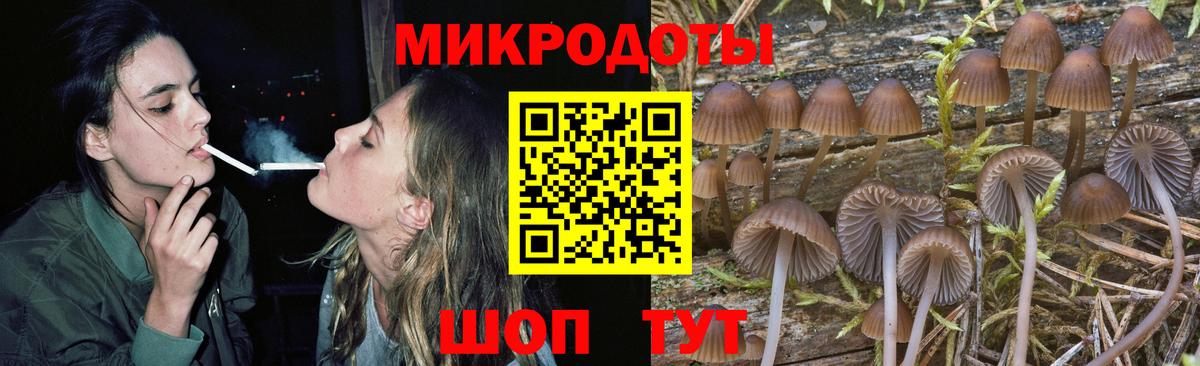 Галлюциногенные грибы прущие грибы  Вход с VPN  Галлюциногенные грибы Psilocybe  Чусовой 